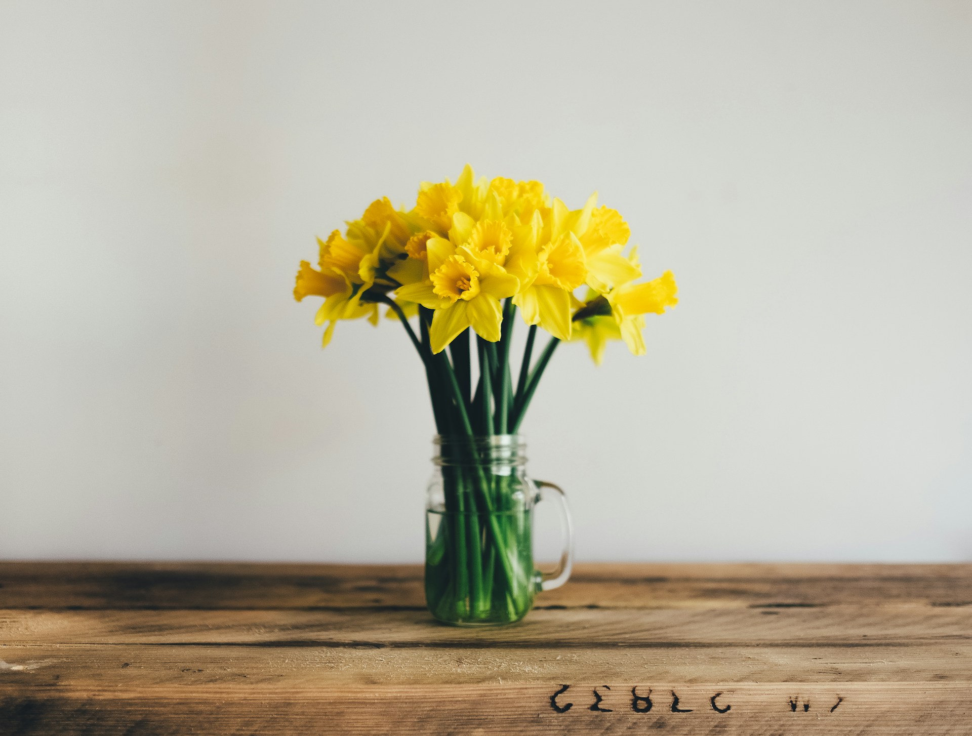 Frühlingsblumen auf Tisch – Finanzen im Frühjahr ordnen und Sparpotenzial nutzen